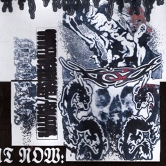 Spinal Fluid On The Walls [Gutsmutt RMX]