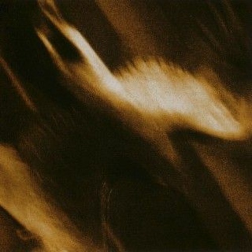 Agalloch - Our Fortress is Burning IV (Ermac Mix).mp3