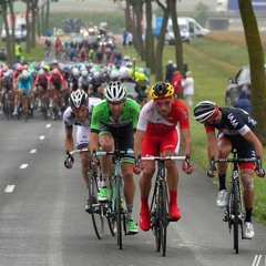 The Peloton (Steady Cadence)