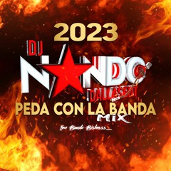 PEDA CON LA BANDA MIX DJ NANDO 2023