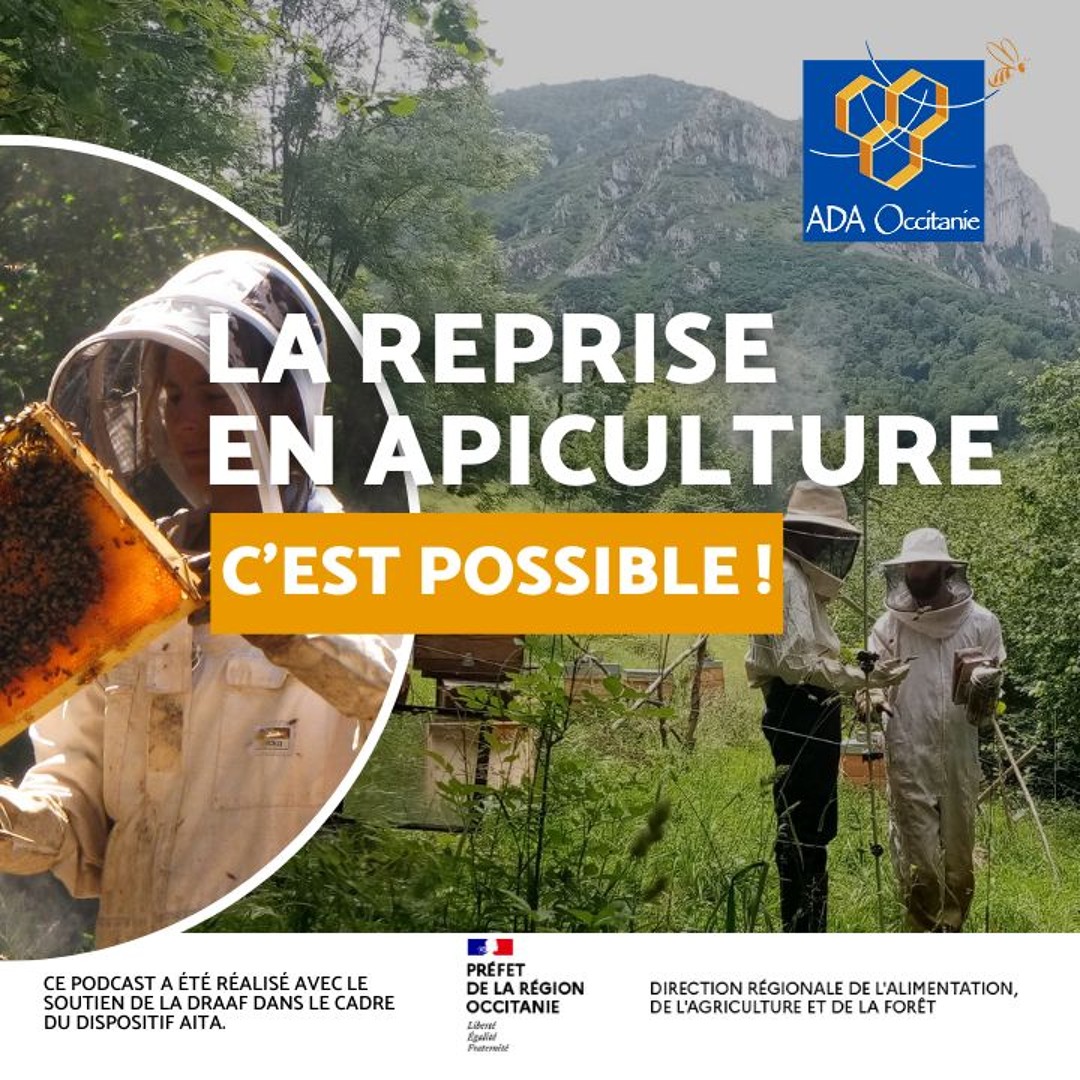 Stream La transmission en apiculture, c’est possible by ADA Occitanie ...