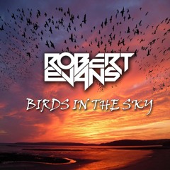 Robert Evans - Birds In The Sky