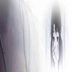 lookin through the window