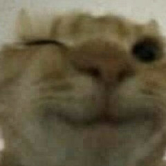 GHEBOASA - Official video