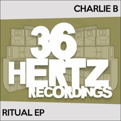 Charlie B - Hubba Bubba [36 Hertz Recordings]