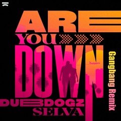 Dubdogz X Selva - Are You Down (GangBang remix)