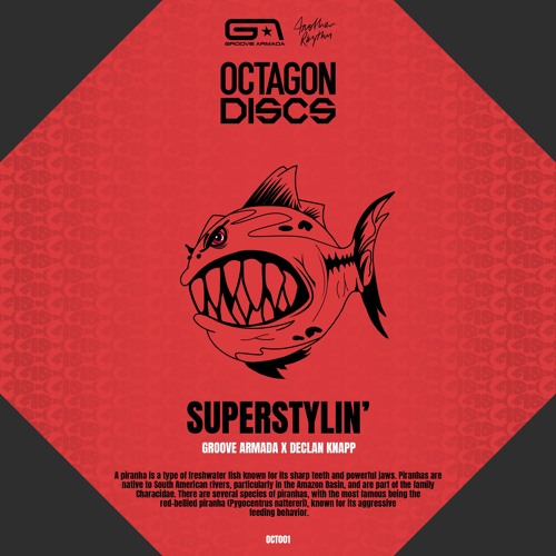 Groove Armada x Declan Knapp - Superstylin' (Extended Mix)