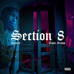 Section 8 ft. Tapri Grams