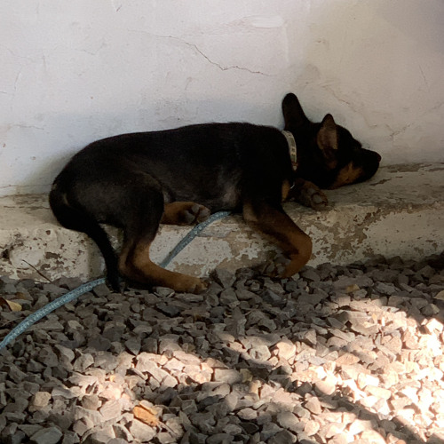 hình như có ai đang buồn... (lưu trữ ký ức dạng âm thanh)