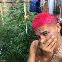 Rip Vôvo/ Vou parar de traficar 🕊🕊