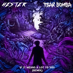 A Day To Remember - If It Means A Lot To You (HESTER & Tsar Bomba Remix)