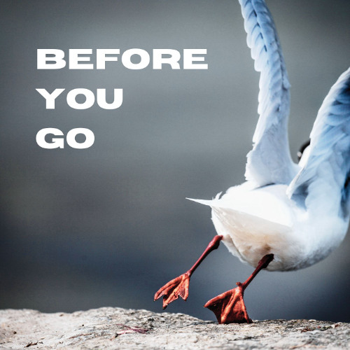 Before You Go