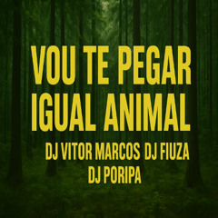 Vou Pega Ela Igual Animal_Dj Poripa Dj Fiuza Dj Vitor Marcos