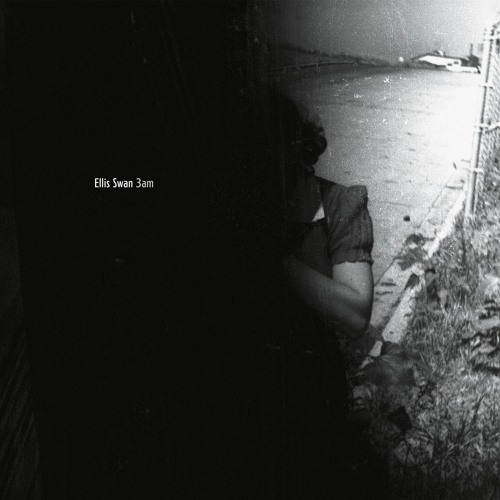 PREMIERE | Ellis Swan - It Could Be Worse [Quindi Records] 2022