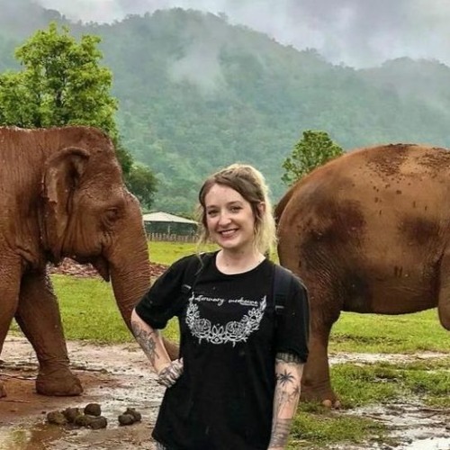 Stream episode VAN 032 Amber LaRock LVT by Veterinary Anesthesia Nerds