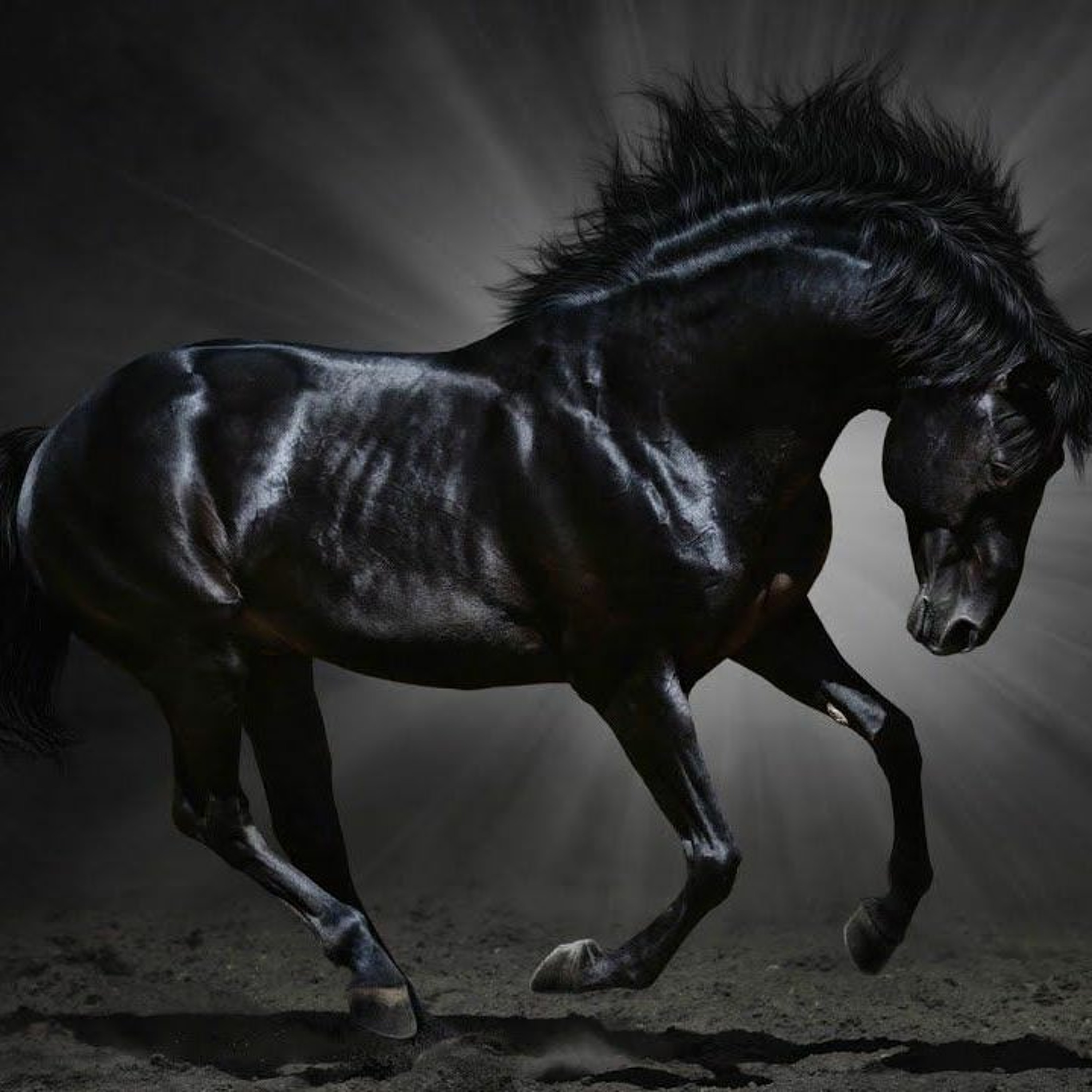 THE BLACK HORSE - ECONOMIC DOWNTURN IN AMERICA