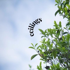 Ceilings - Lizzy McAlpine (Cover by Ethan Loke)