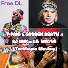 T-PAIN x SVDDEN DEATH x DJ UNK x LIL WAYNE [TazMayne Mashup](Free DL)