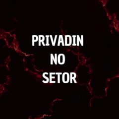 MT - PRIVADIN NO SETOR