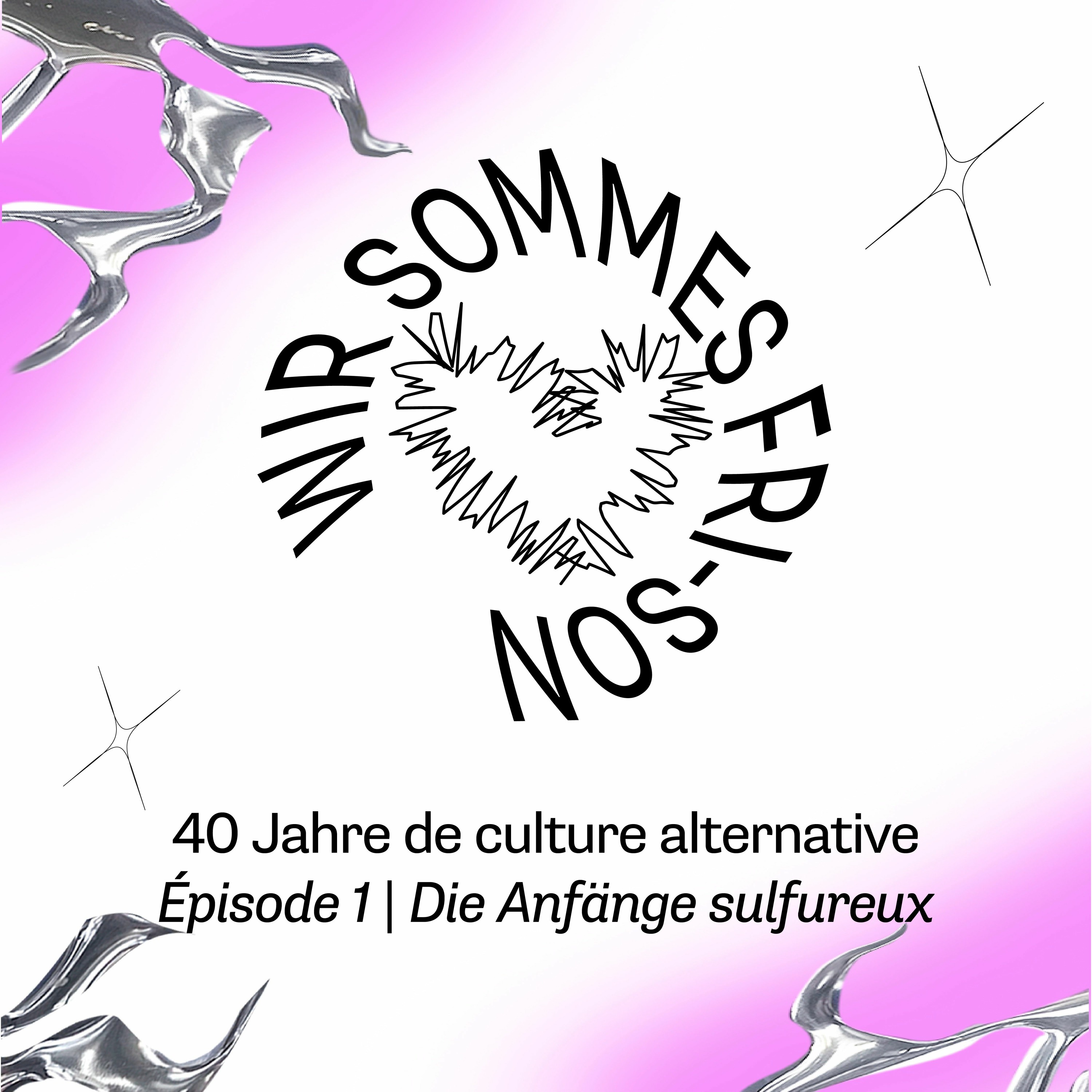 WIR SOMMES FRI-SON, 40 JAHRE DE CULTURE ALTERNATIVE