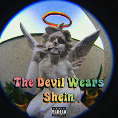 The Devil Wears Shein
