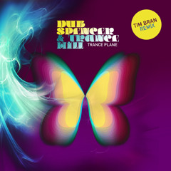 Trance Plane (Tim Bran´s Subsonar Remix)