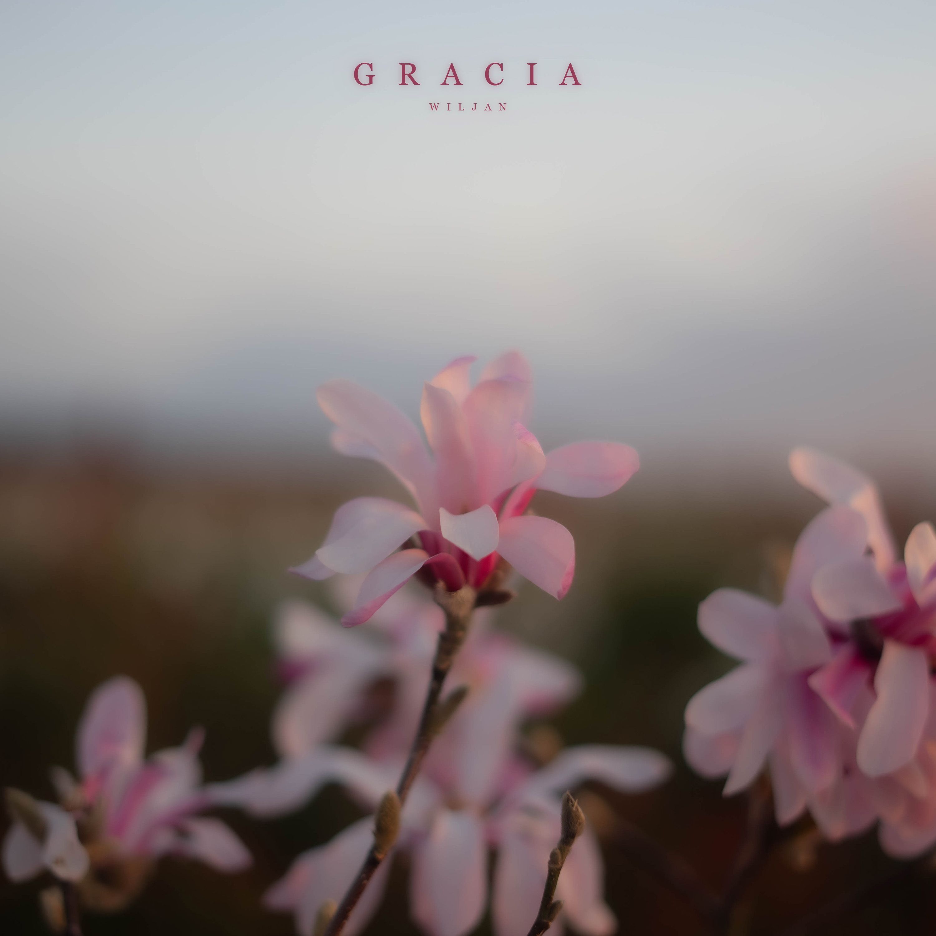 Gracia episode artwork