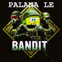 PALANA - V.O.D 🦝