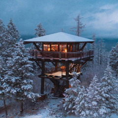 Fubari and Silva Sound - Cabin Fever Mar 2025 Part 2