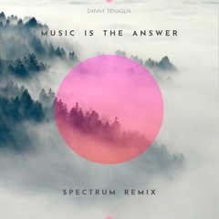MUSIC IS THE ANSWER - DANNY TENAGLIA (SPECTRUM REMIX)