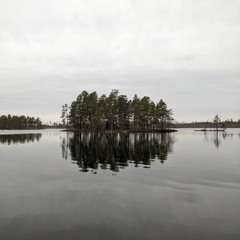 Dawn At Öjesjön Lake - Västmanland, Sweden