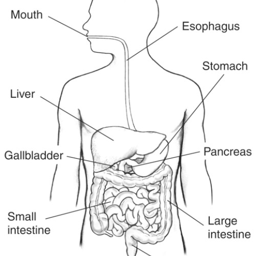 You Can Take This Tune And Shove It Up Your Arse