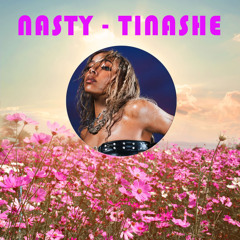 Nasty - Tinashe - Remix By Peter Bried