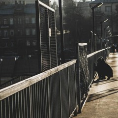 Rita Mačiliūnaitė - Supermamytė