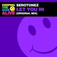 Let You In (Original Mix)