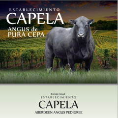 Federico Baccino - Remate Capela