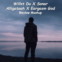 Alligatoah X Eargasm God - Willst Du X Sonar (Meylow Mashup)