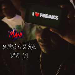 30 MINS FI DI GYAL DEM [2] @deejaymani242