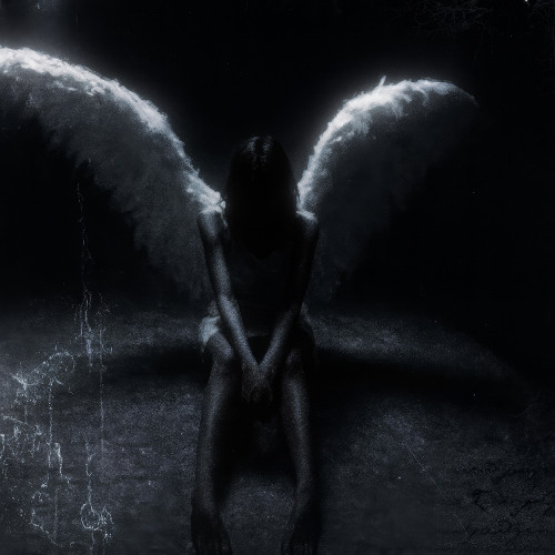 killanoia, KUTE - velour wings