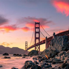 Review Special Price San Francisco Holiday Sights At Night City Trolley Tour