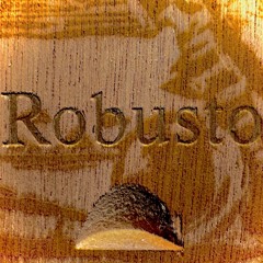 ROBUSTO | DAY 1 DEMO