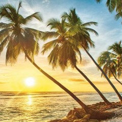ASE UN CALOR BAMO PA LA PLAYA