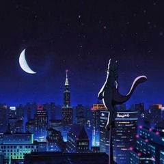 Sota Fujimori- Look To The Sky (Remix)