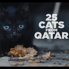 Director MYE HOANG talks 25 CATS FROM QATAR on CELLULOID DREAMS THE MOVIE SHOW (5-29-25)