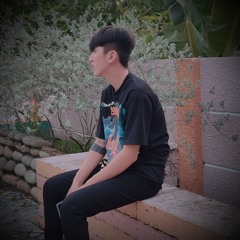 NST - VIETMIX TAN CHẬM CHẬM LẮC LẮC - THANHPHUOC RMX