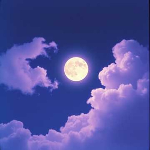 Dont know what to do