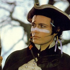 Stand and Deliver (Cuisenaire version) (Adam and The Ants cover)