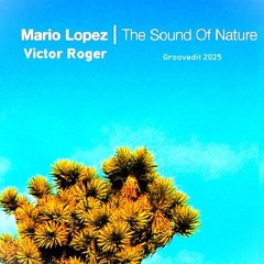 ᴛʜᴇ ꜱᴏᴜɴᴅ ᴏꜰ ɴᴀᴛᴜʀᴇ - ɢʀᴏᴏᴠᴇᴅɪᴛ 2025