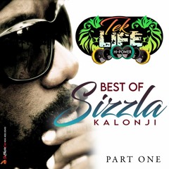 TEK LIFE SOUND SIZZLA MIX 2023.mp3