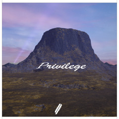 Privilege
